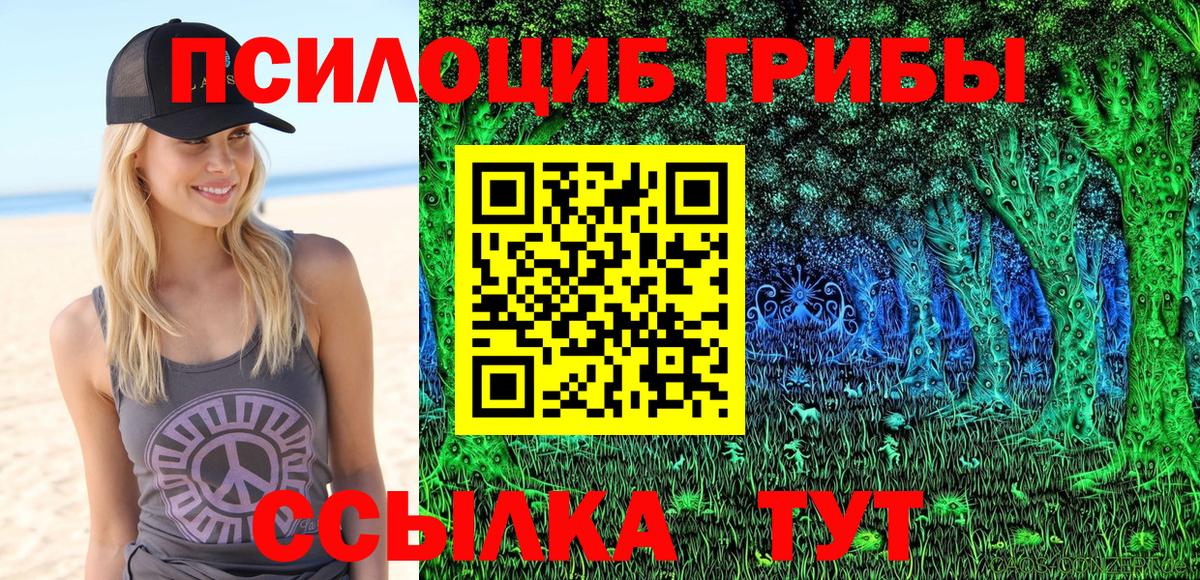 Грозный  Галлюциногенные грибы ЛСД  Вход с VPN 