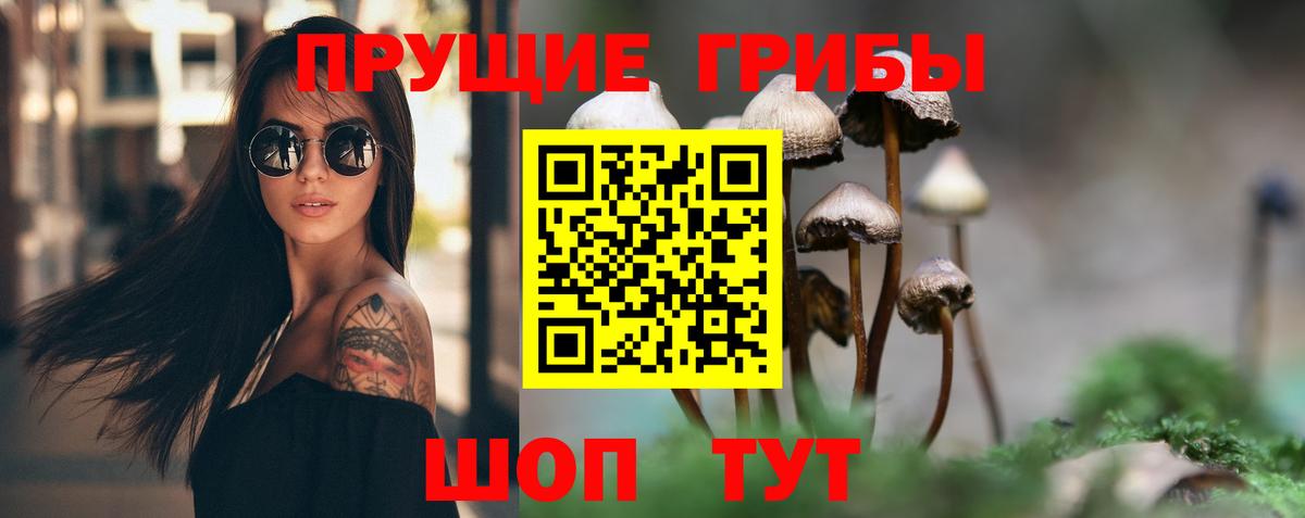 Галлюциногенные грибы мицелий Грозный